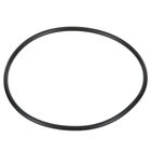 Everpure EV311240 O-Ring