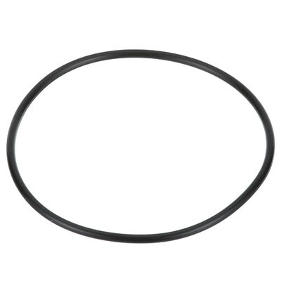 Everpure EV311240 O-Ring