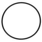 Everpure EV3071-19 O-Ring