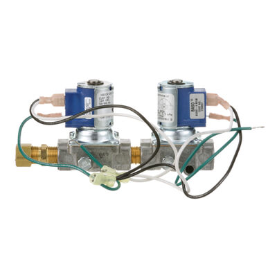 Southbend 1194597 Dual Solenoid Valve 120V