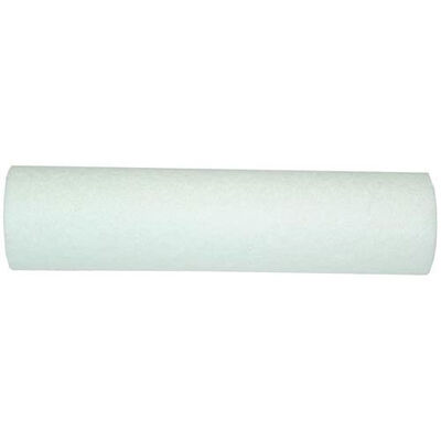 Everpure EC110 EC110 10" Water Filter Cartridge
