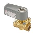 Champion 104730 Hot Water Solenoid Valve 3/4" 125 PSI 120V