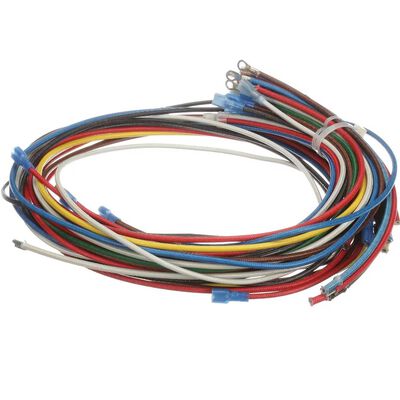 Crown Steam 4204-12 Wire Harness Assembly EC-20T