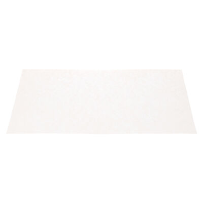 Pitco PTPP10612 Fryer Oil Filter 3-1/2" X 24" HD 100-Pack