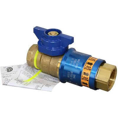 Dormont CF-100 Safety Valve Quick Disconnect W/Thermal Cut-Off 1"