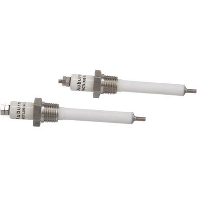 Groen Z014356 Water Level Electrode 3/8 MPT