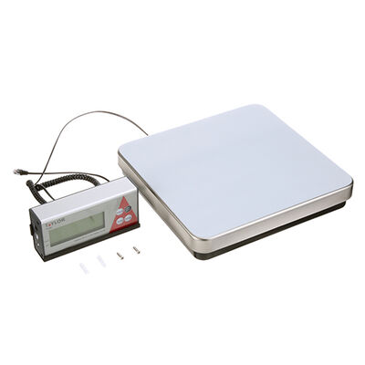 Taylor Thermometer TE150 Digital Receiving Scale