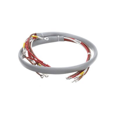 Groen 148506 Jacketed Kettle Heater Wire Harness EE-40