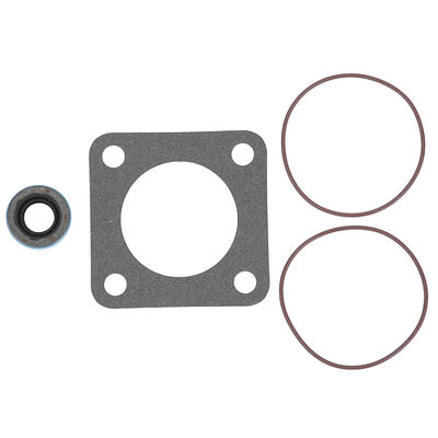 Dean 807-1197 Pump Seal Kit - Viking