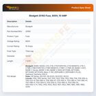 Blodgett 20162 Fuse, 600V, 10 AMP