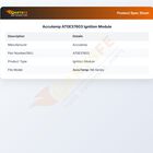 Accutemp AT0E37603 Automatic Ignition Module