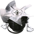 Jet Spray S6641 Agitator Motor