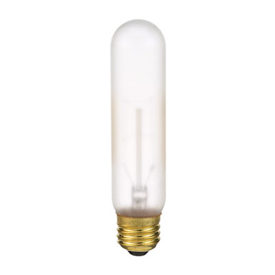 True E801113 Lamp, 25T10 Tuff-Skin, 240V