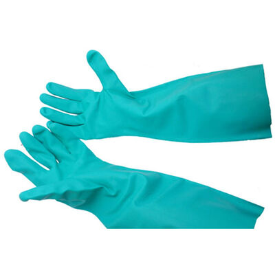 Allpoints 1421725 Green Glove - Dish Med (Pair)