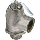 Garland 076005-2 Chrome Steam Safety Relief Valve 3/4" MPT X 3/4" FPT 25 PSI