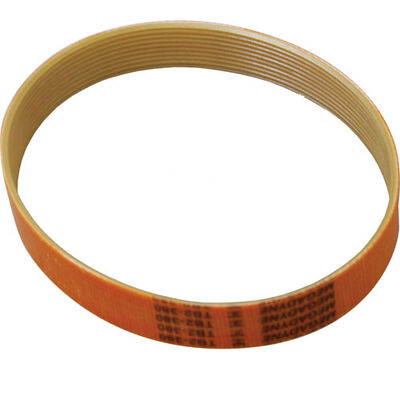 Berkel 829-00066 Slicer Ribbed Belt