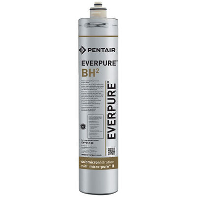 Everpure EV961250 BH Water Filter Cartridge 1/2 Micron 3000 GPM