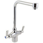 Zurn Z826S1-XL Double Pantry Faucet 8" Riser