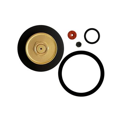 Cornelius 183065000 Regulator Repair Kit Primary