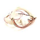 Pitco B6753001 Gas Fryer Wire Harness Raceway DD24RUFM