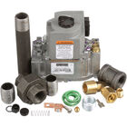 Blodgett 30220 Gas Safety Valve 1/2" 24V