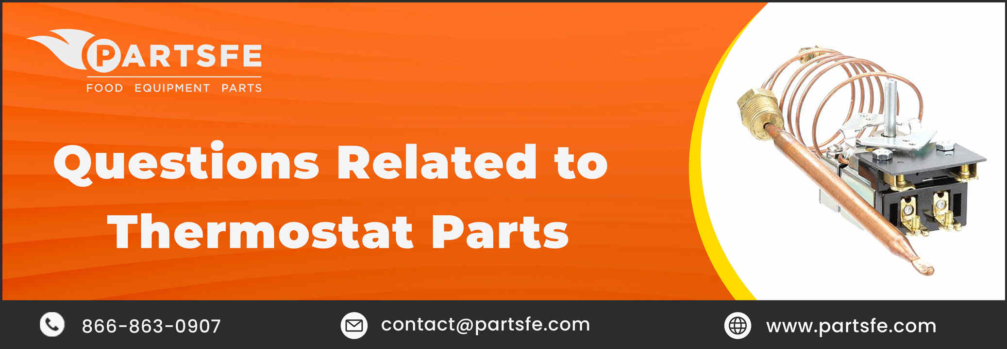 Thermostat Parts_PartsFe