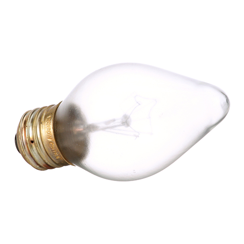 Hatco 02-30-043-12 120V Coated Bulb, 12 Pack
