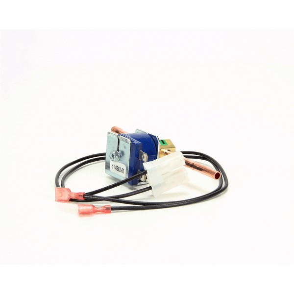 Emerson 50RB4T2M2 Hot Gas Valve Kit