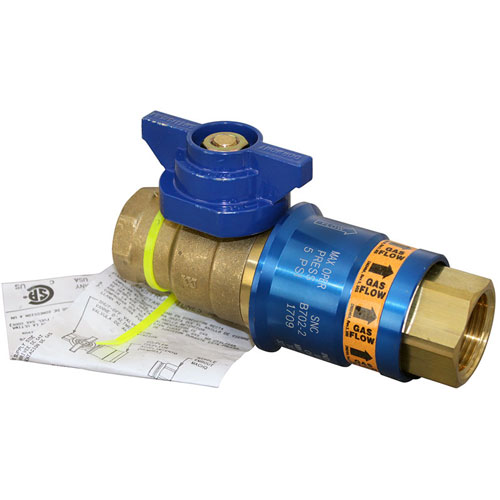 Dormont CF100 FPT Safety Shutoff/Quick Disconnect with Thermal Cut-Off 1"