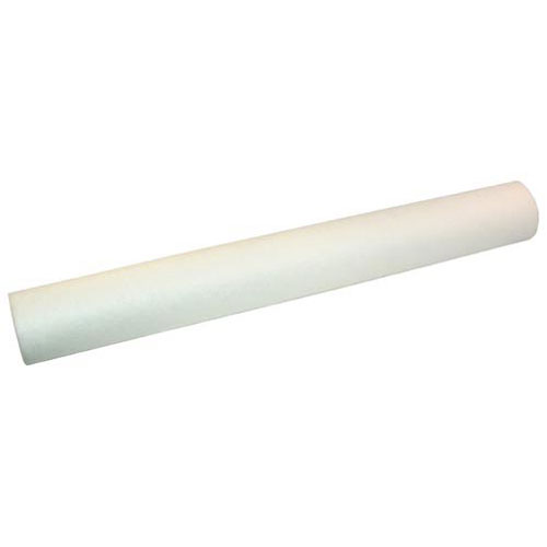 Everpure EV9534-26 EC210 20" Water Filter Cartridge