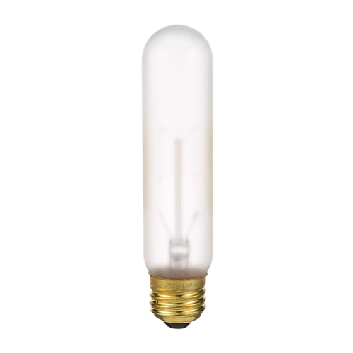 True E801113 Lamp, 25T10 Tuff-Skin, 240V