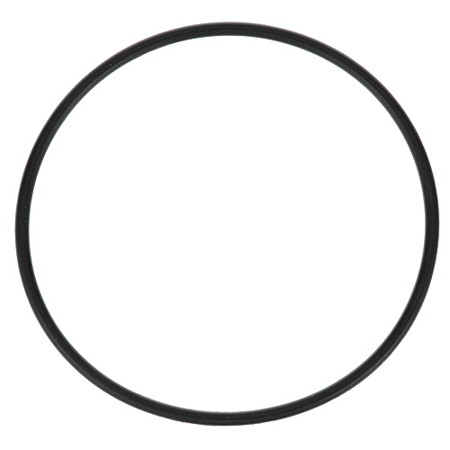 Everpure 307119 O-Ring