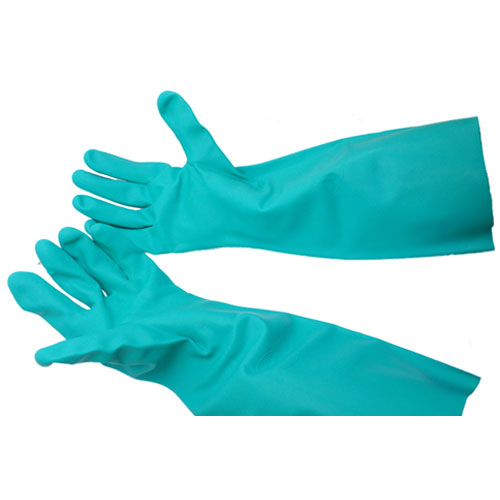 Allpoints 1421725 Green Glove - Dish Med (Pair)