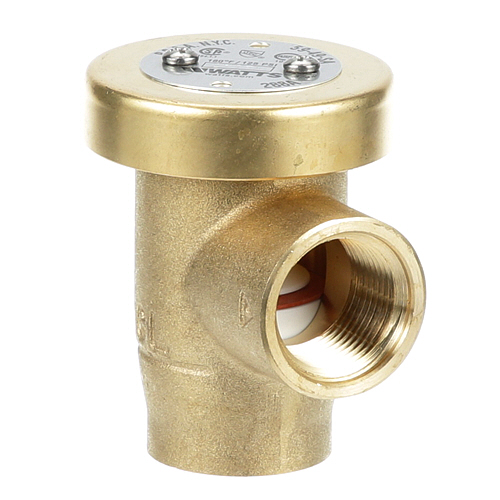 Jackson 4820-002-53-77 Vacuum Breaker Cast Body 3/4" NPT 125 PSI