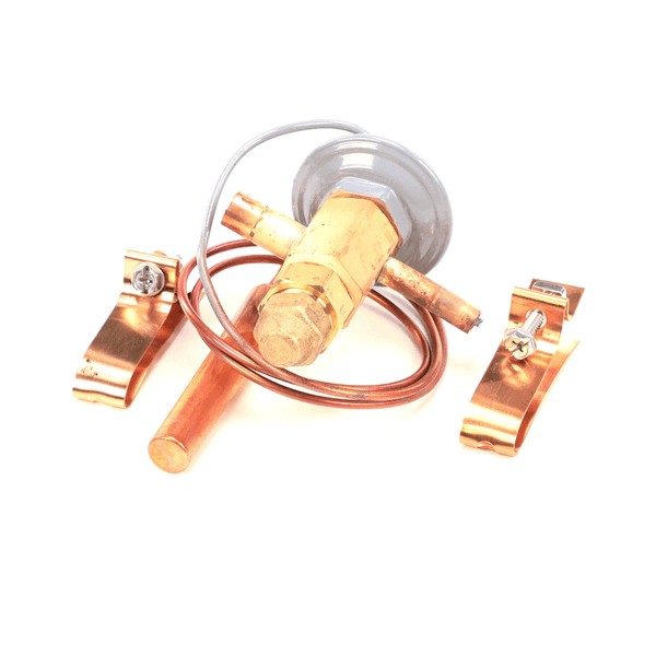 Victory 50794905 Thermo Expansion Valve(TXV)