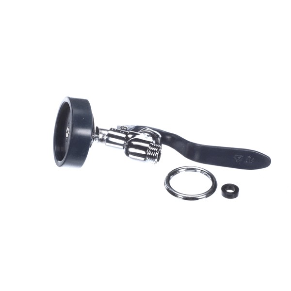 T&S Brass EB-0107-035 Spray Valve W/Angled High-Flow Blue