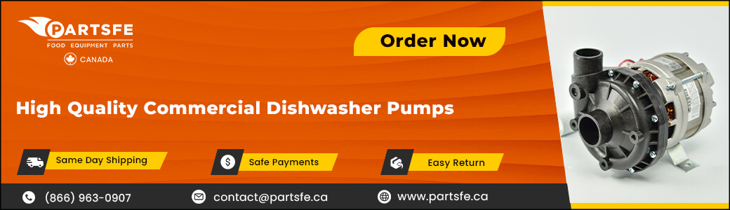 Pumps & Seals